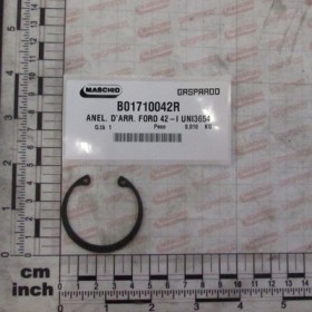 SEEGER RING