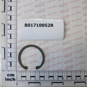SEEGER RING