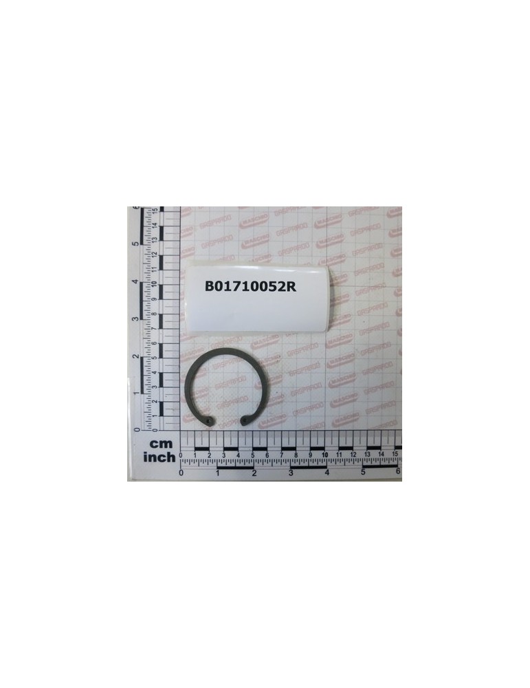 SEEGER RING