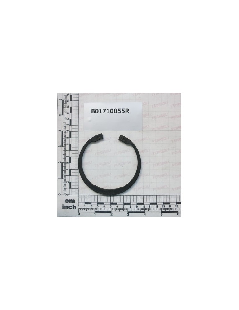 SEEGER RING