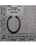 SEEGER RING