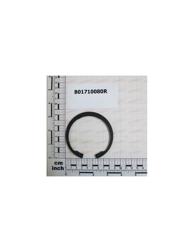 SEEGER RING