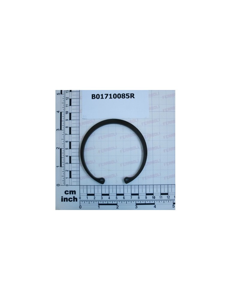 SEEGER RING