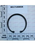 SEEGER RING