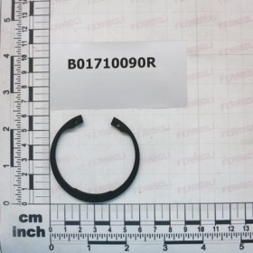 SEEGER RING