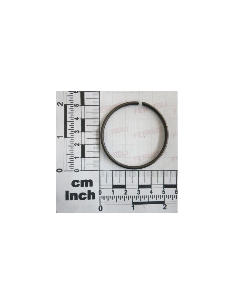 ELASTIC RING