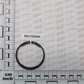 ANELLO D\'ARRES ALB. 60 TIPO W.