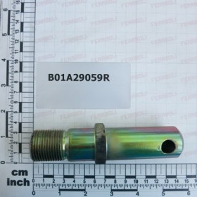 PIN