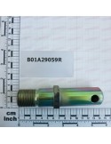 PIN