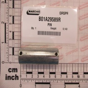 PIN