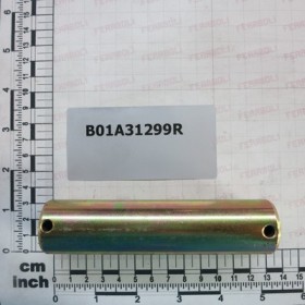 PIN