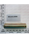PIN
