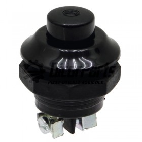 Buton / inchizator