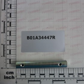 PIN