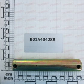 PIN