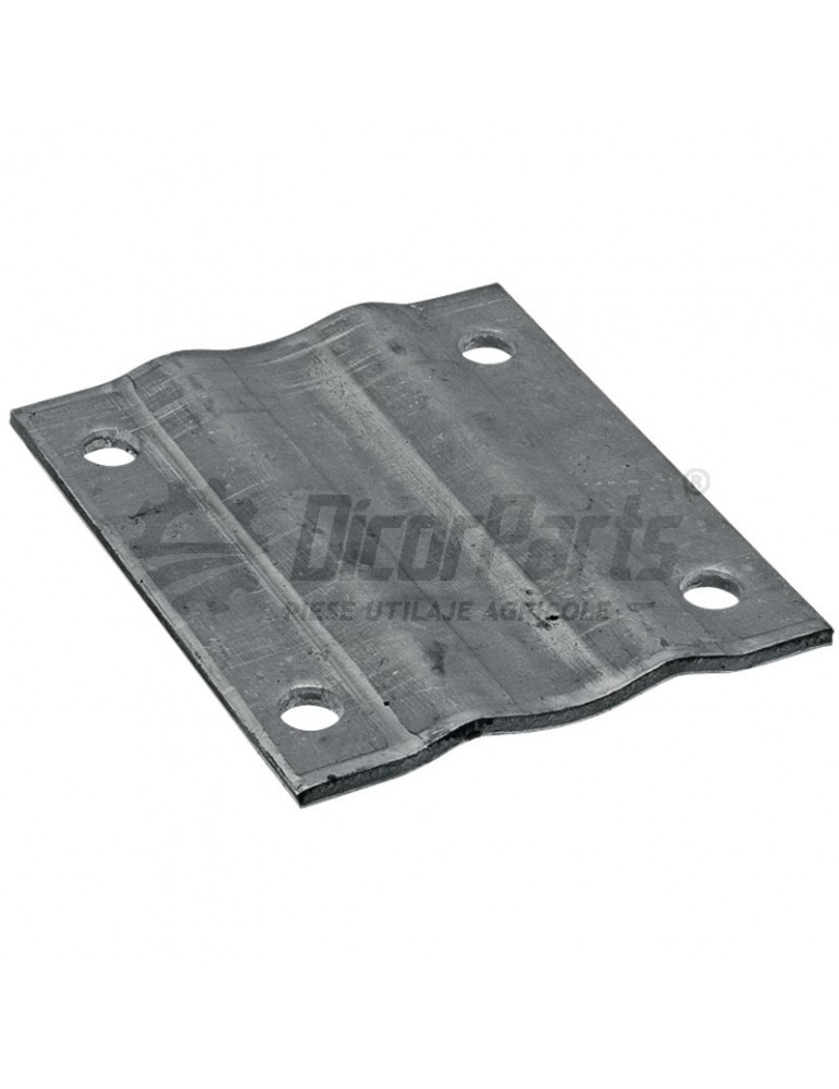 Placa de fixare