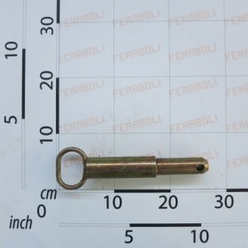 PIN