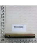 PIN