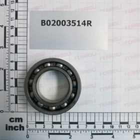 BEARING  6007