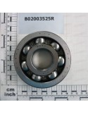 BEARING