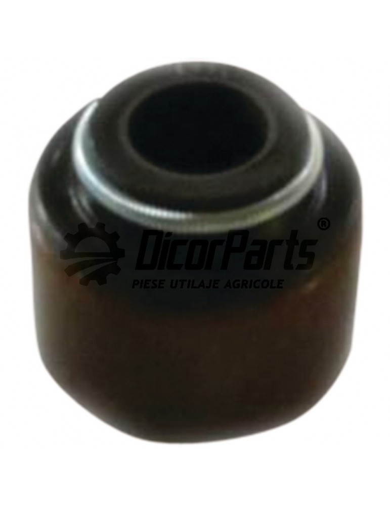 Aetansare tija supapa