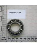 BEARING