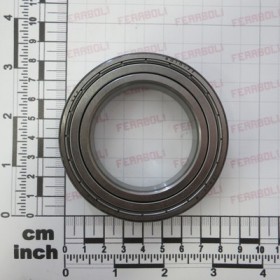 6010-2Z BEARING