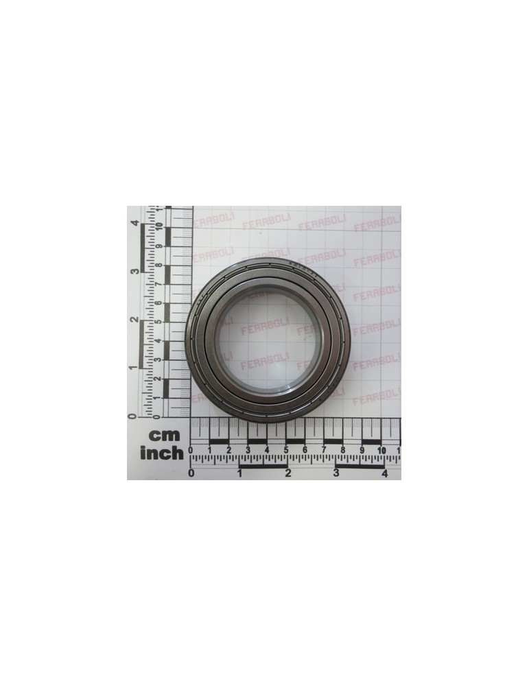 6010-2Z BEARING