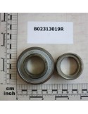 BEARING