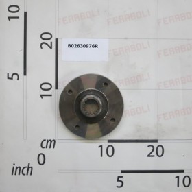 BLADE HOLDING FLANGE