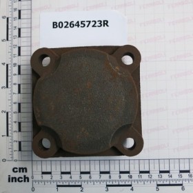 BEARING CAP