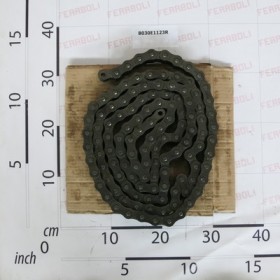 ROLLER CHAIN ISO 16B-1 M123