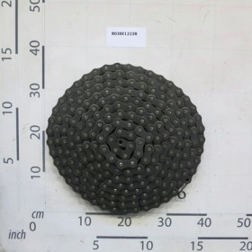 ROLLER CHAIN ISO 16 B-1 223M