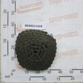 CHAIN RULLI ISO 20 B-1  141M