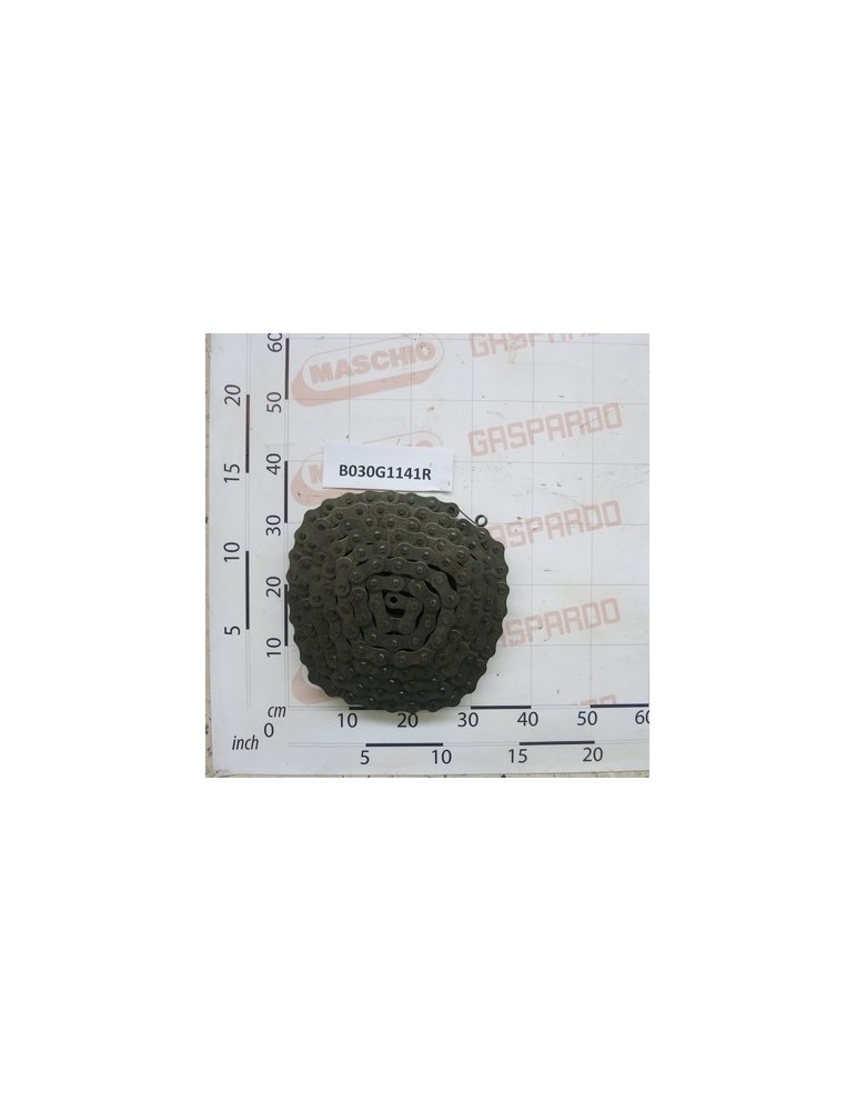 CHAIN RULLI ISO 20 B-1  141M