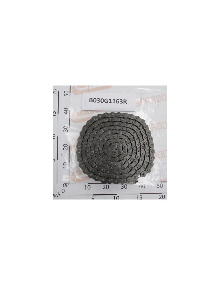 CHAIN RULLI ISO 20 B-1  163M