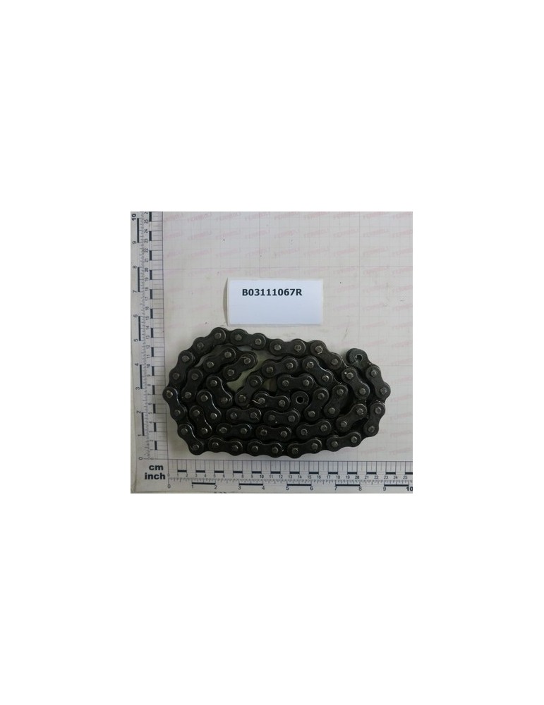 ROLLERS CHAIN ASA 60-1 M67