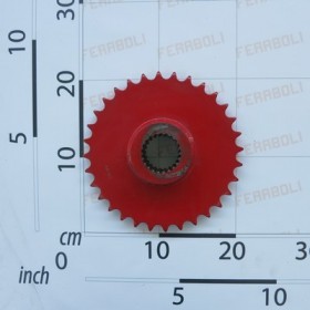 GEAR Z-32-3/4\"