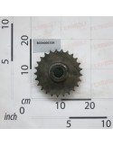 GEAR Z- 25; 3/4; ISO 12B-1