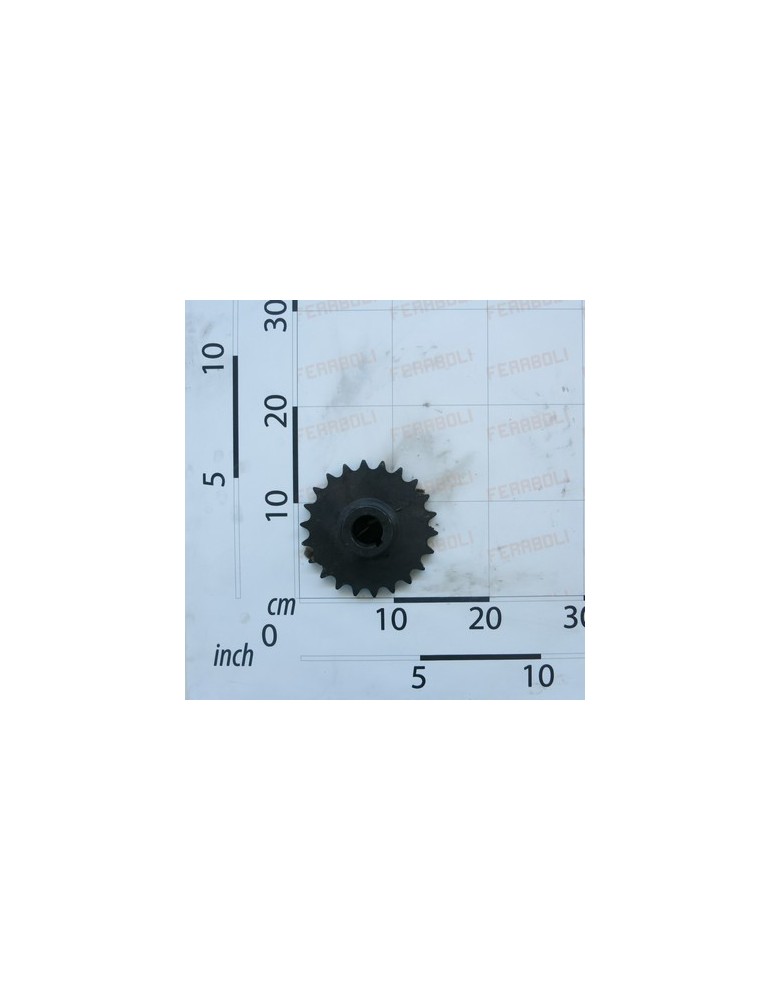 GEAR Z-22-3/4\"