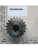 PINION