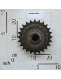 BIG ROLLER GEAR Z-17-24/1\"