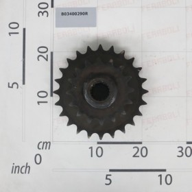 BIG ROLLER GEAR Z-16-24/1\"