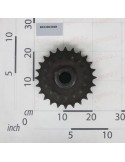 BIG ROLLER GEAR Z-16-24/1\"