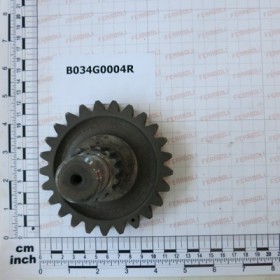 PINION