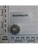 PINION