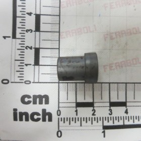 SLIPPING LITTLE ROLL