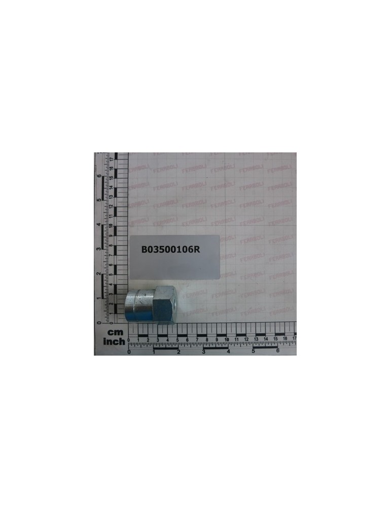 ROLLER FULCRUM