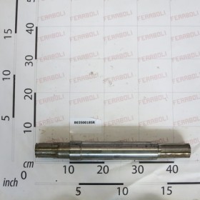 ALBERO SECONDARIO SCAT.56 PER.