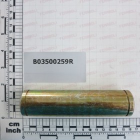 PIN